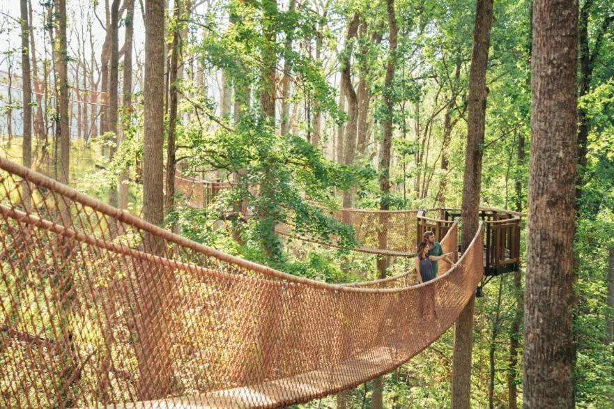 Romantic A-Frame Private Hottub Firepit Neargsmnp Sevierville Exterior foto
